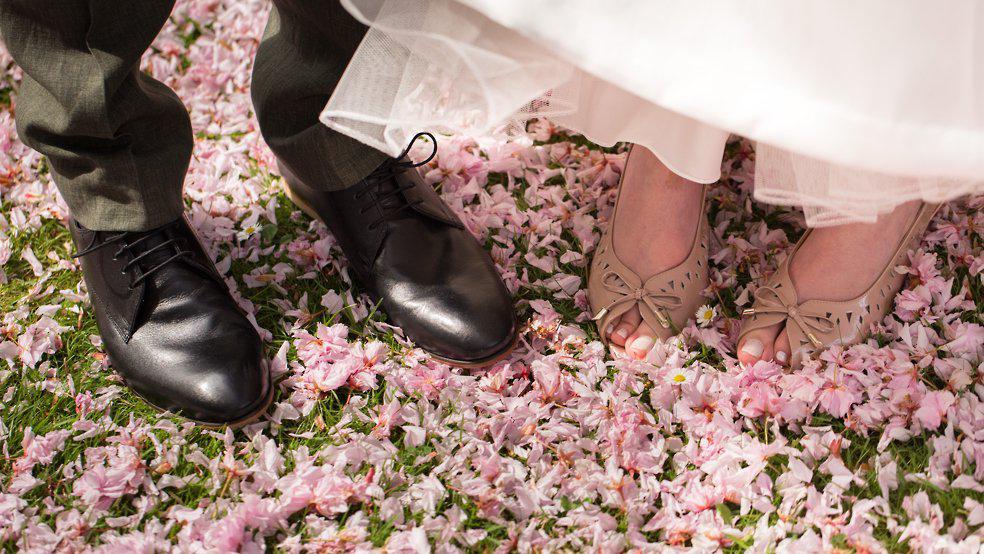 a carpet of blossum at a Hazelwood Castle wedding, Leeds