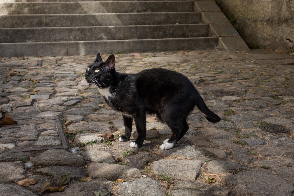 porto
