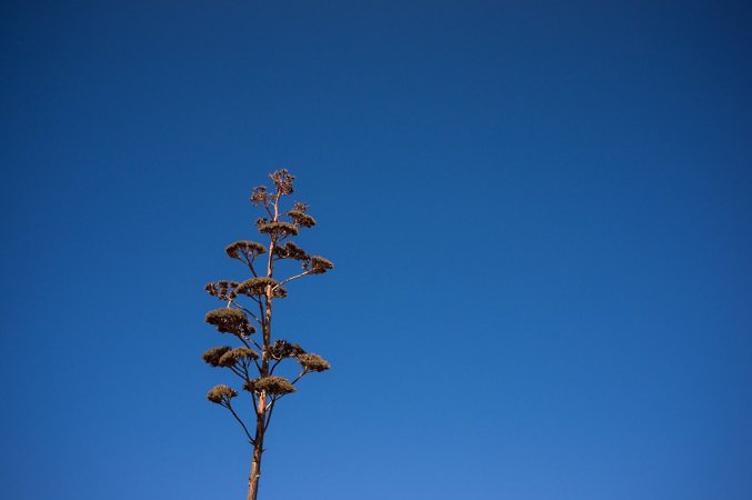 Tavira - Day 2/3