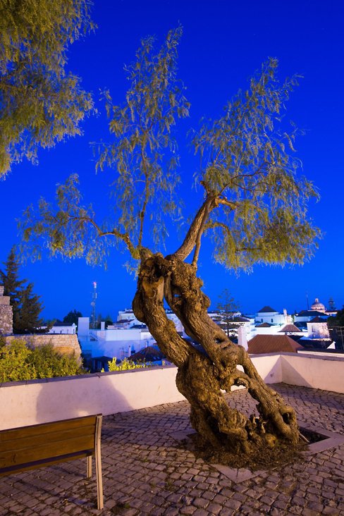 Tavira - Remembrance day