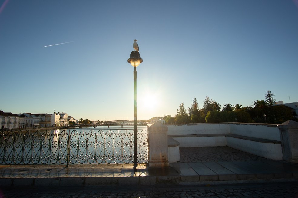 tavira