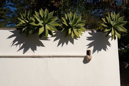 Tavira - Remembrance day