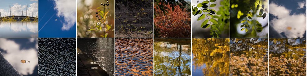 Autumn Tramventure