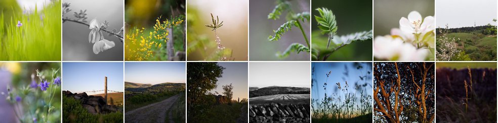 Saddleworth in Spring