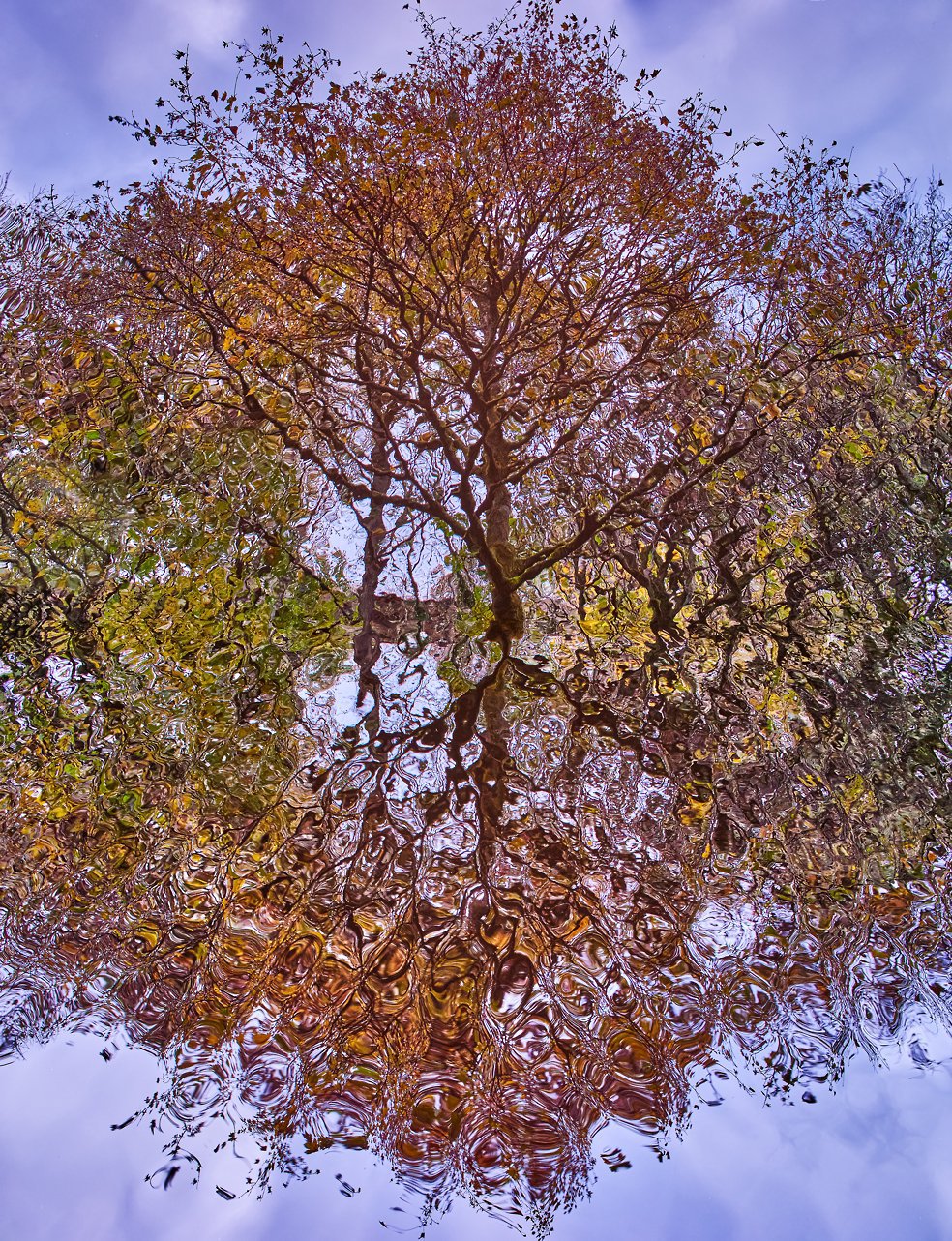 Saddleworth in Autumn