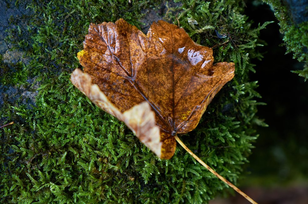 Saddleworth in Autumn