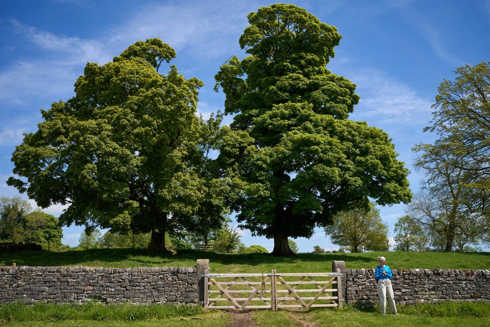 Buxton