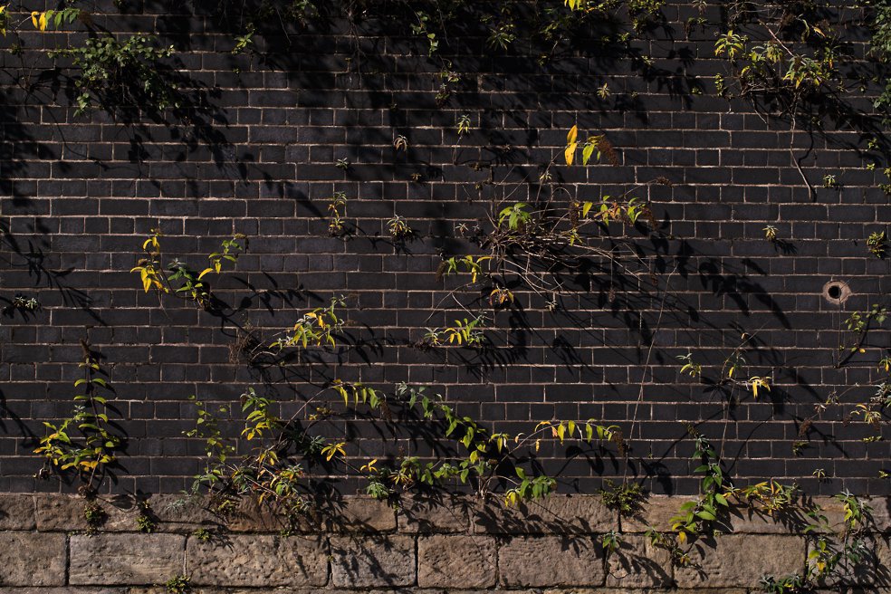 manchester photowalk