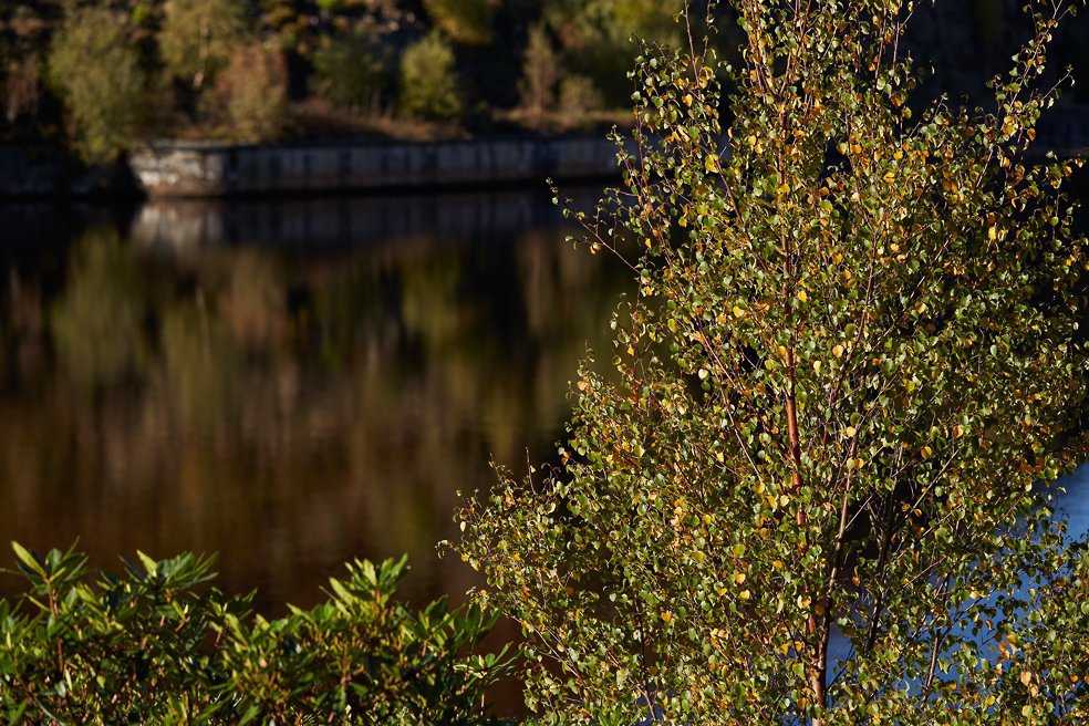Marsden Reservoir