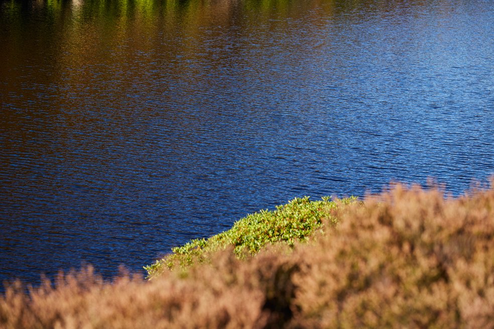 Marsden Reservoir