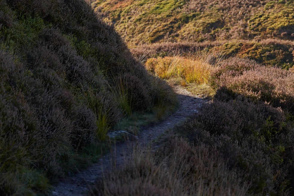 Marsden Reservoir