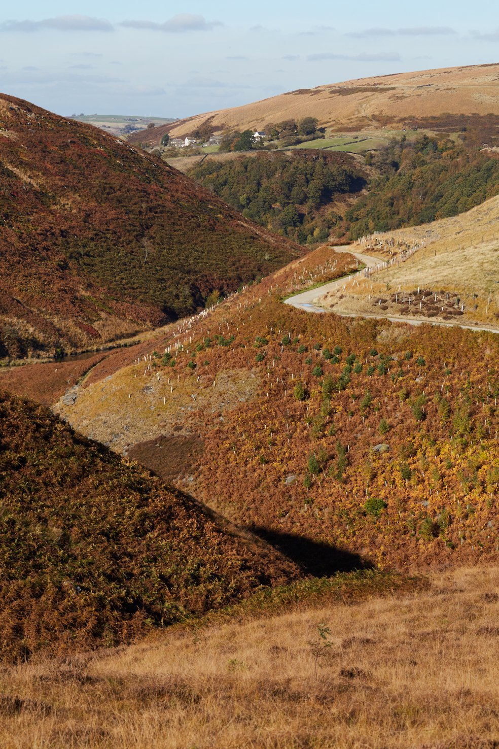 Marsden Reservoir