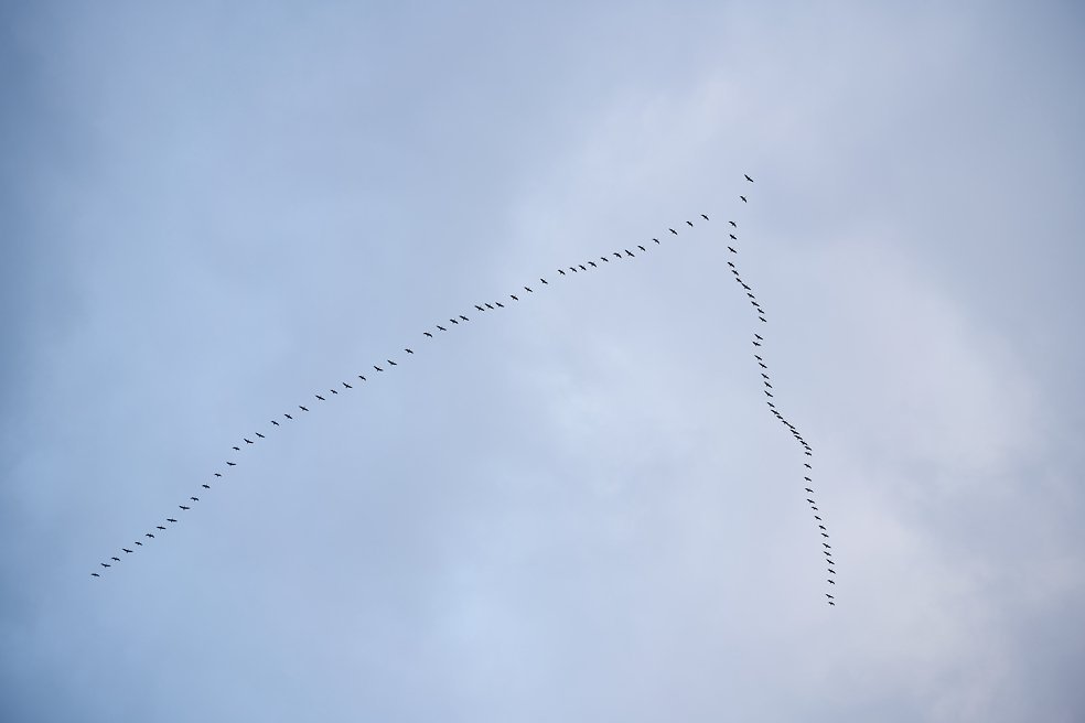 sky wallpapers