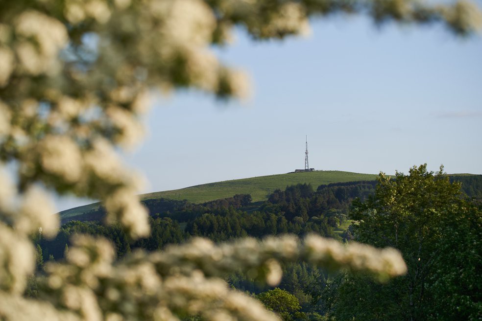 Saddleworth in Spring