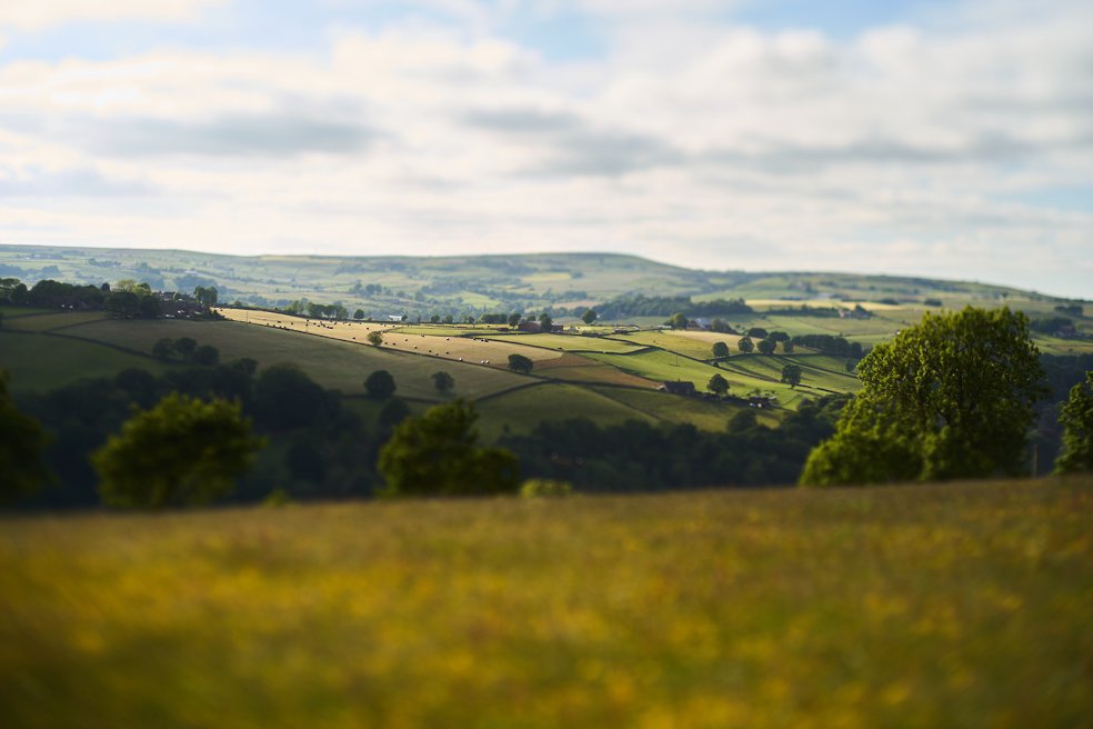 wedding photography at the fleece, Ripponden