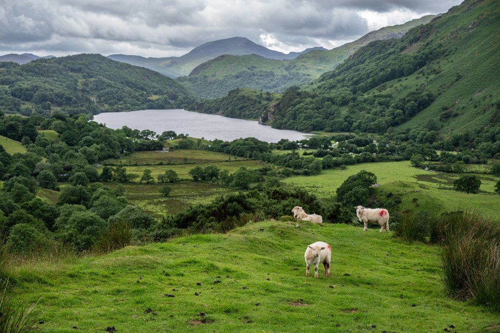 Llyn Gwynant Barns wedding