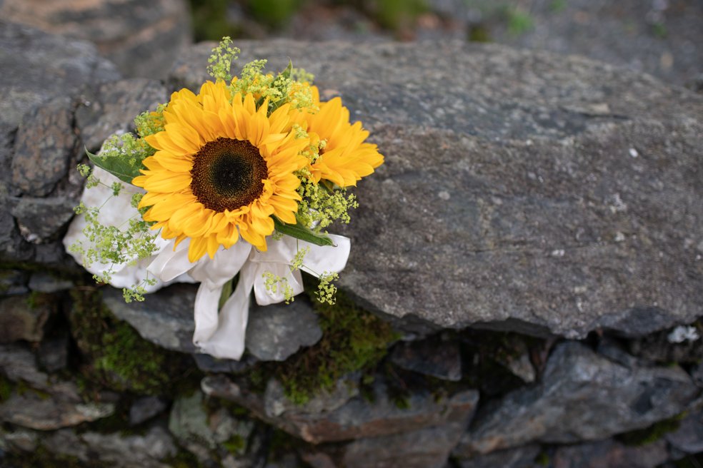 Llyn Gwynant Barns wedding