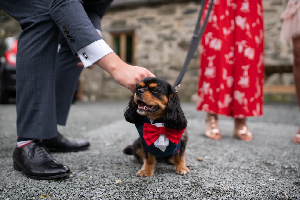 Llyn Gwynant Barns Wedding photography